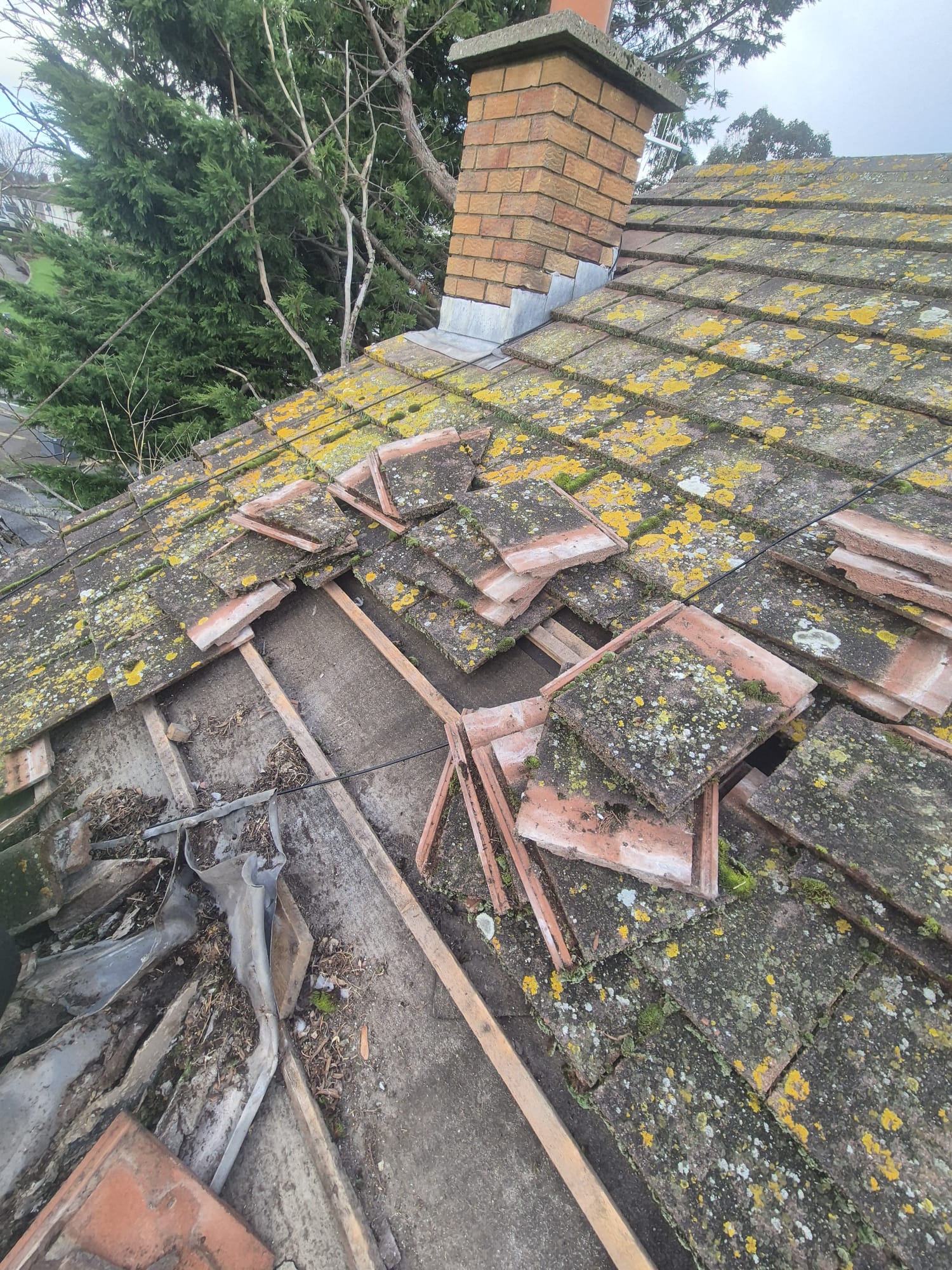 Roof repair Drogheda 6